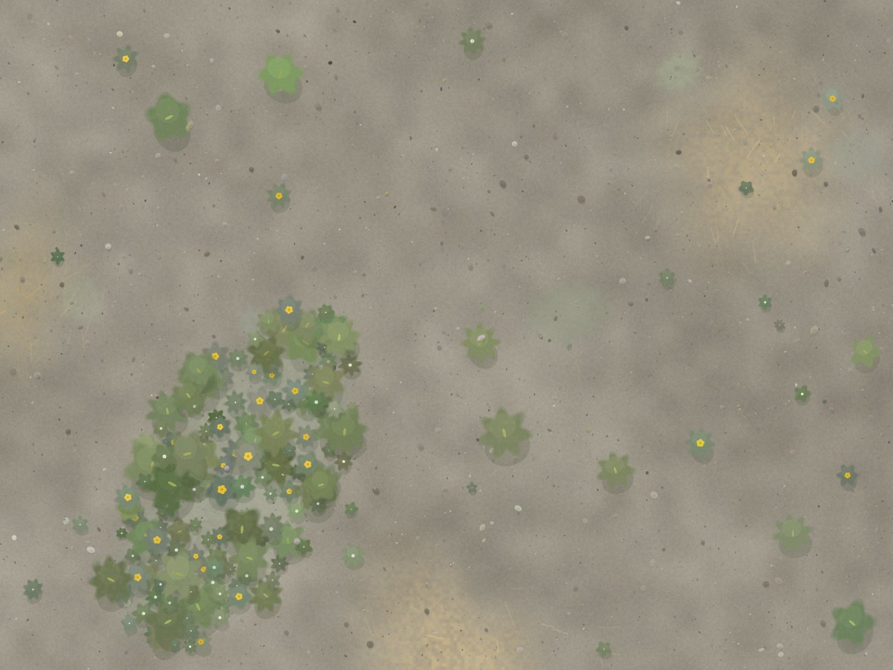 Synthetic ladder — 0.5 mm/px — dense