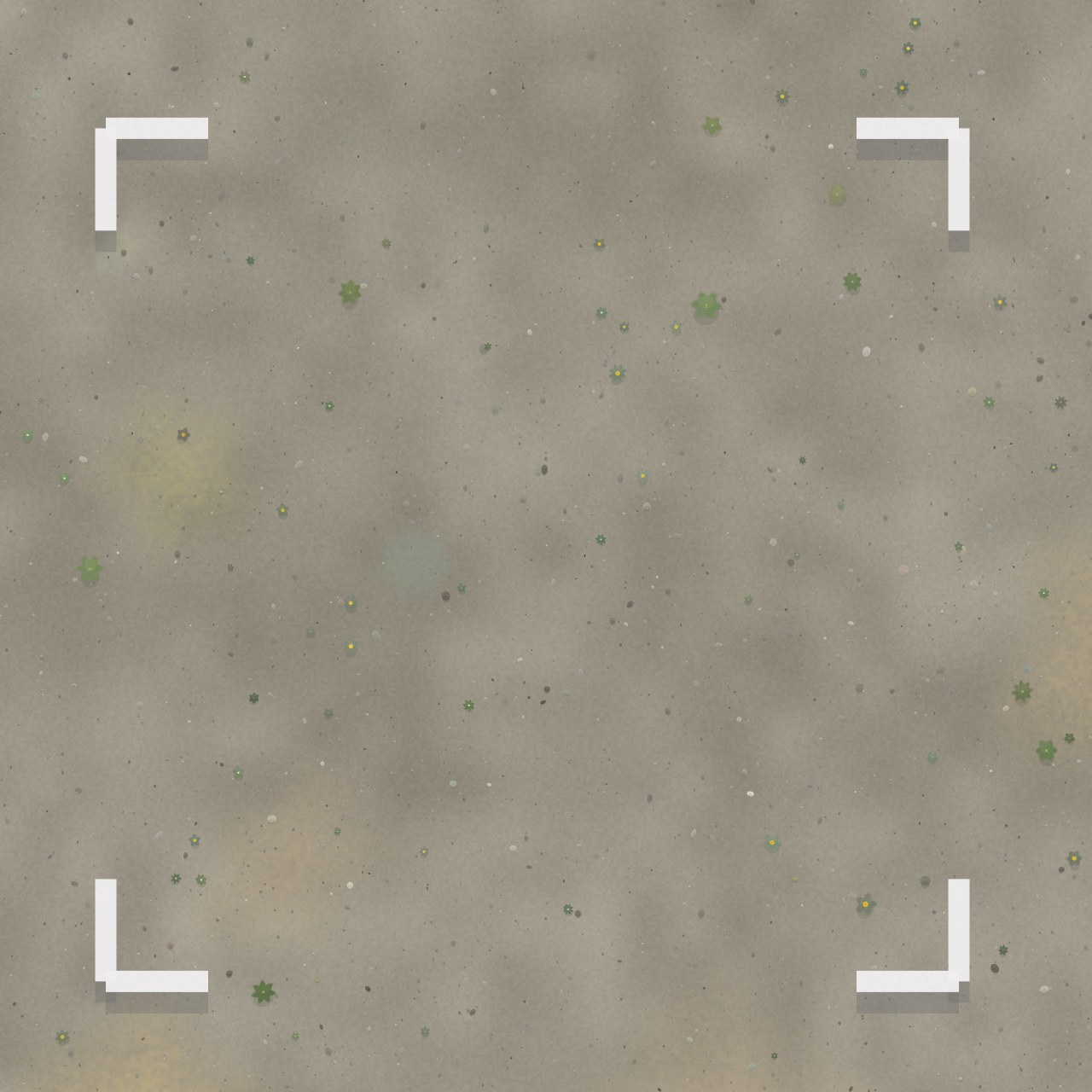 Quadrat calibration — 1.0 mm/px — 1 m frame with plants